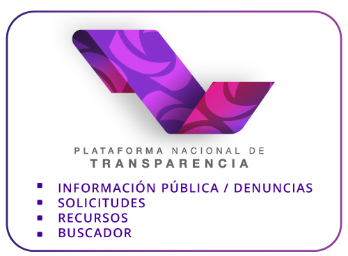 Plataforma Nacional de Transparencia